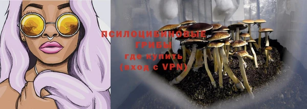 сатива Зерноград