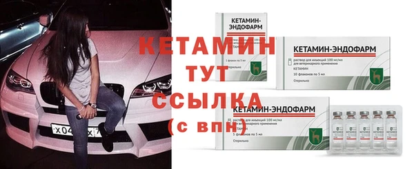 индика Инсар