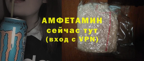 сатива Зерноград