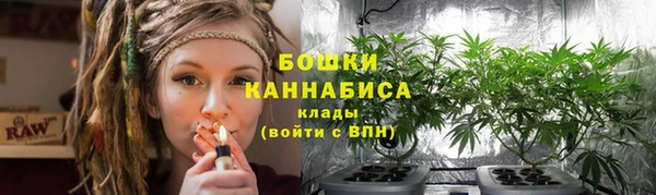 сатива Зерноград