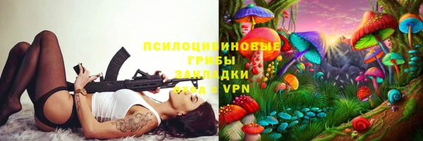 сатива Зерноград