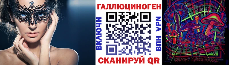 Псилоцибиновые грибы Psilocybine cubensis  Миасс 